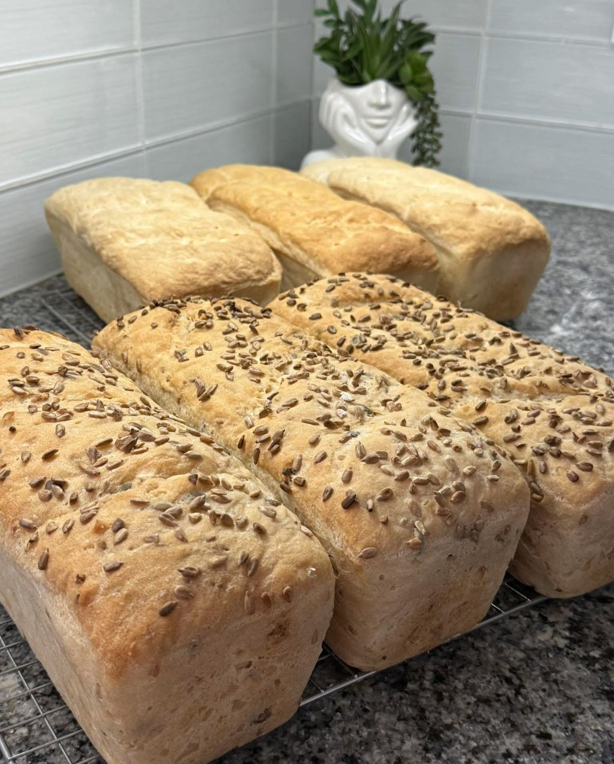 Plain and sunflower gluten-free loaves cooling